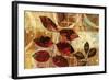 Changing Leaves II-Eric Yang-Framed Art Print