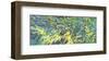 Changing Leaves-Margaret Juul-Framed Art Print