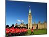 Changing of the Guard Ceremony on Canada's Parliament Hill-Rambleon-Mounted Photographic Print