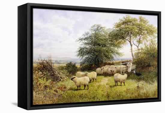 Changing Pastures-George Shalders-Framed Stretched Canvas