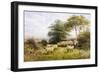 Changing Pastures-George Shalders-Framed Giclee Print