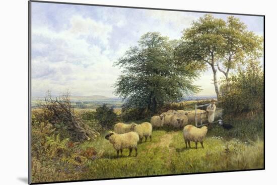 Changing Pastures-William Shayer Sr.-Mounted Giclee Print