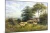 Changing Pastures-William Shayer Sr.-Mounted Giclee Print