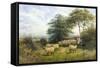 Changing Pastures-William Shayer Sr.-Framed Stretched Canvas