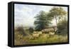 Changing Pastures-William Shayer Sr.-Framed Stretched Canvas