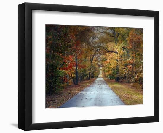 Changing Season 1-Jai Johnson-Framed Premium Giclee Print