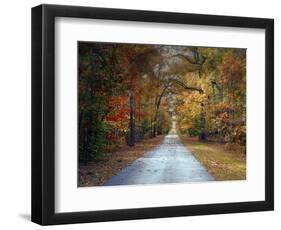 Changing Season 1-Jai Johnson-Framed Premium Giclee Print