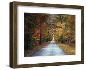 Changing Season 1-Jai Johnson-Framed Giclee Print