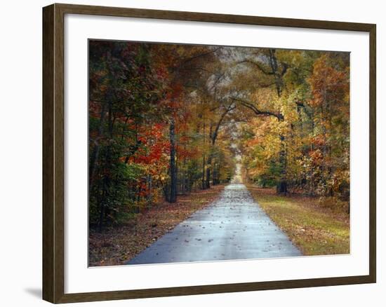 Changing Season 1-Jai Johnson-Framed Giclee Print