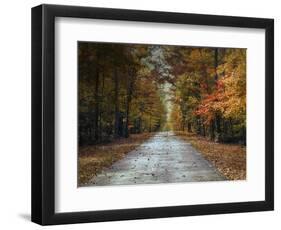 Changing Season 2-Jai Johnson-Framed Premium Giclee Print