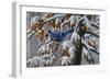 Changing Season-Wilhelm Goebel-Framed Giclee Print