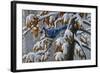 Changing Season-Wilhelm Goebel-Framed Giclee Print