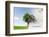 Changing Seasons from Summer to Winter or Vice-Versa-Jan Martin Will-Framed Photographic Print