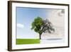 Changing Seasons from Summer to Winter or Vice-Versa-Jan Martin Will-Framed Photographic Print