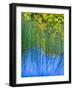 Changing seasons in Upper Michigan-Terry Eggers-Framed Photographic Print