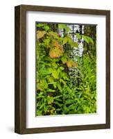 Changing seasons in Upper Michigan-Terry Eggers-Framed Photographic Print