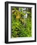 Changing seasons in Upper Michigan-Terry Eggers-Framed Photographic Print