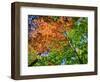 Changing seasons in Upper Michigan-Terry Eggers-Framed Photographic Print