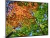 Changing seasons in Upper Michigan-Terry Eggers-Mounted Photographic Print