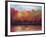 Changing Seasons-Tim Howe-Framed Giclee Print