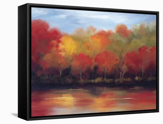 Changing Seasons-Tim Howe-Framed Stretched Canvas