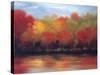 Changing Seasons-Tim Howe-Stretched Canvas