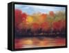 Changing Seasons-Tim Howe-Framed Stretched Canvas