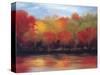 Changing Seasons-Tim Howe-Stretched Canvas