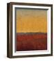 Changing Skies 1-Jeannie Sellmer-Framed Giclee Print