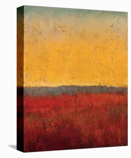 Changing Skies 1-Jeannie Sellmer-Stretched Canvas