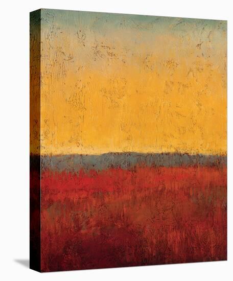 Changing Skies 1-Jeannie Sellmer-Stretched Canvas