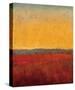 Changing Skies 1-Jeannie Sellmer-Stretched Canvas
