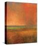 Changing Skies 2-Jeannie Sellmer-Stretched Canvas
