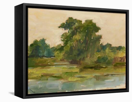 Changing Sunlight I-Ethan Harper-Framed Stretched Canvas