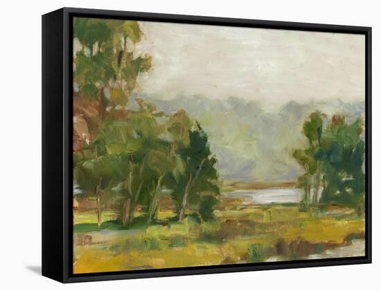 Changing Sunlight II-Ethan Harper-Framed Stretched Canvas