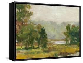 Changing Sunlight II-Ethan Harper-Framed Stretched Canvas