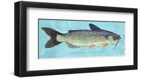 Channel Catfish-John Golden-Framed Giclee Print