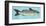 Channel Catfish-John Golden-Framed Giclee Print