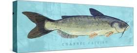 Channel Catfish-John Golden-Stretched Canvas