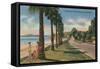 Channel Drive, Montecito, Santa Barbara-null-Framed Stretched Canvas