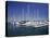 Channel Islands Marina, Oxnard, California, USA-null-Stretched Canvas