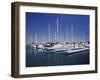 Channel Islands Marina, Oxnard, California, USA-null-Framed Photographic Print