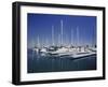 Channel Islands Marina, Oxnard, California, USA-null-Framed Photographic Print