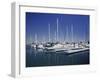 Channel Islands Marina, Oxnard, California, USA-null-Framed Photographic Print
