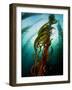 Channel Islands National Park, California: the View Underwater Off Anacapa Island of a Kelp Forest-Ian Shive-Framed Photographic Print