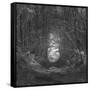 Channel-Tomislav Bogovic-Framed Stretched Canvas