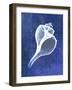 Channelled Whelk (indigo)-Bert Myers-Framed Art Print