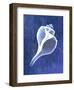 Channelled Whelk (indigo)-Bert Myers-Framed Art Print