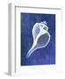 Channelled Whelk (indigo)-Bert Myers-Framed Art Print