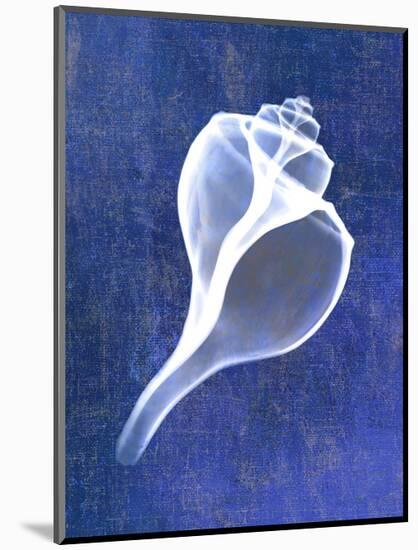 Channelled Whelk (indigo)-Bert Myers-Mounted Art Print